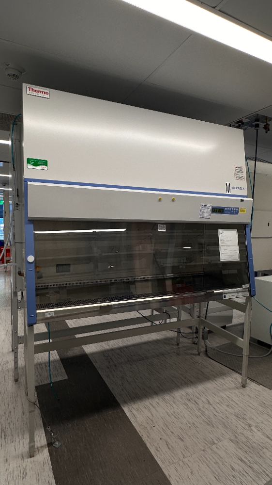 Image of Thermo Scientific 1300 Series A2 BSC- 6ft